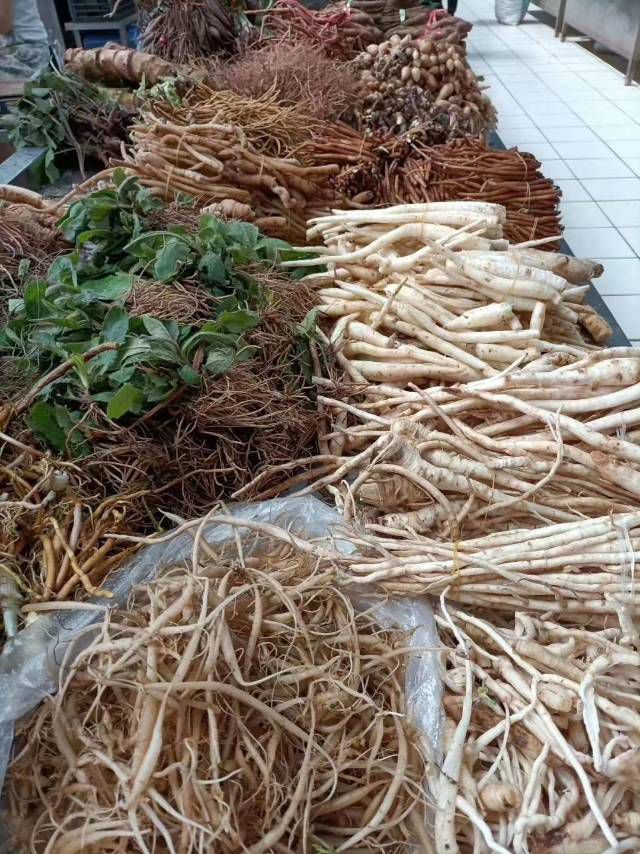 普洱端午节习俗之吃百草药根_昆明土地公公科技有限公司